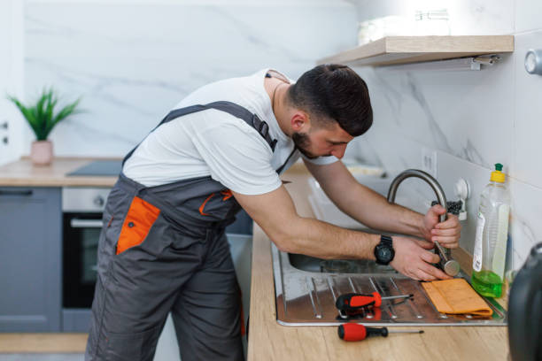 Best Clogged Drain Plumber  in Medpolis, IA